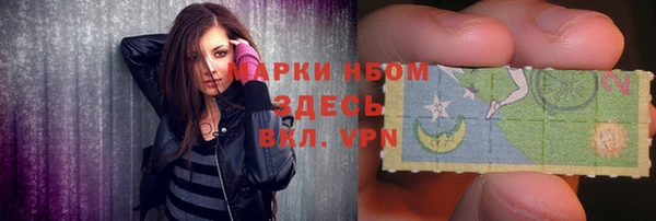 ПСИЛОЦИБИНОВЫЕ ГРИБЫ Богданович
