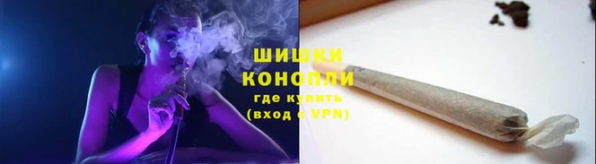 сатива Богородицк