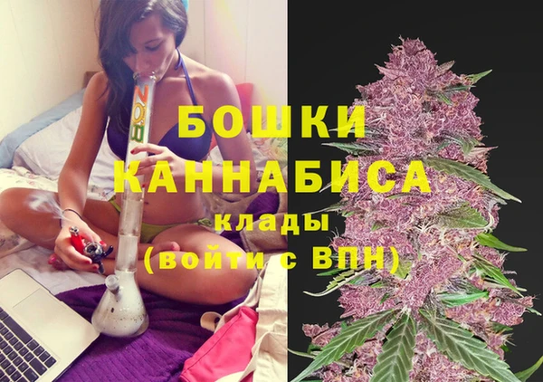 гидропоника Бугульма