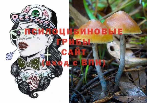 сатива Богородицк