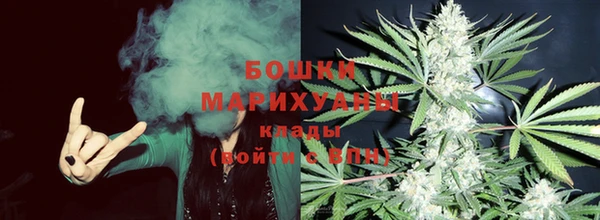 ПСИЛОЦИБИНОВЫЕ ГРИБЫ Богданович