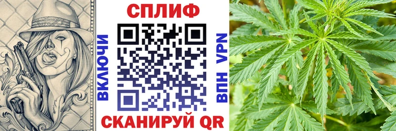 МАРИХУАНА тримм блэк спрут сайт Старица